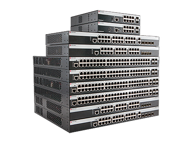  Extreme Networks  800 08G20G4-24